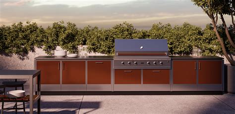 custom made steel cabinets|exterior stainless steel cabinets.